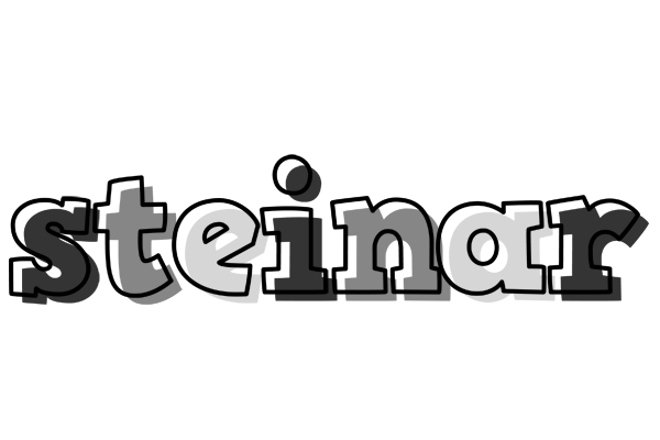 Steinar night logo