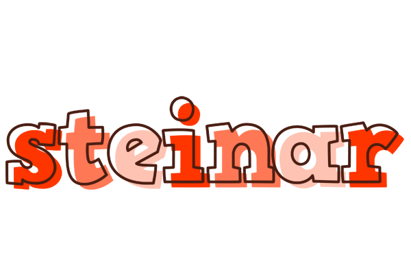 Steinar paint logo