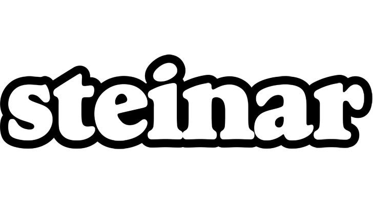 Steinar panda logo