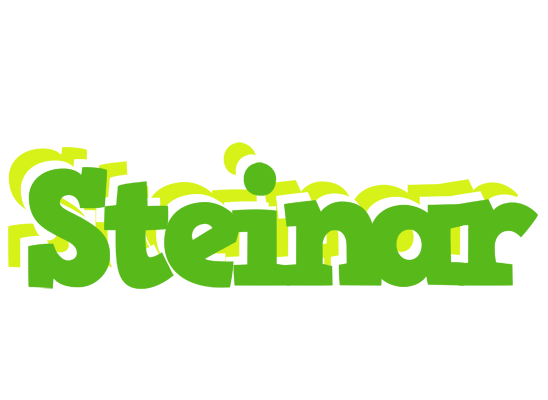 Steinar picnic logo