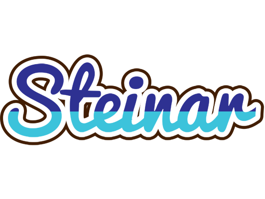 Steinar raining logo