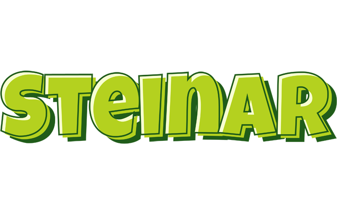 Steinar summer logo