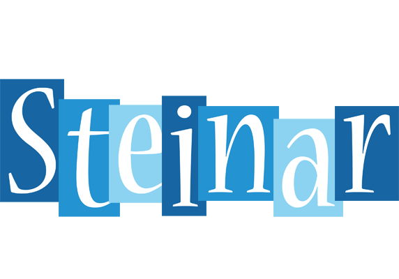 Steinar winter logo