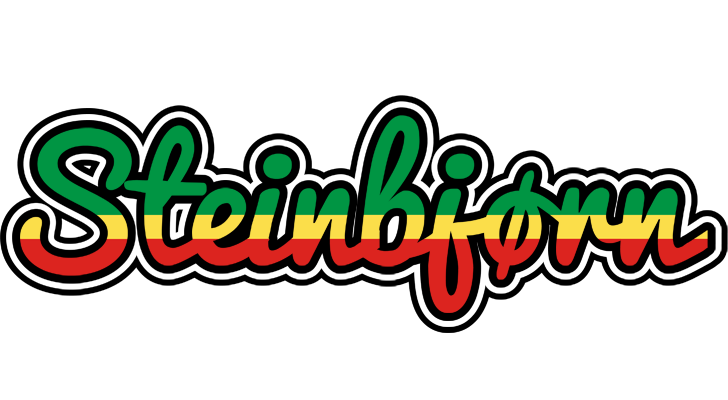 Steinbjørn african logo