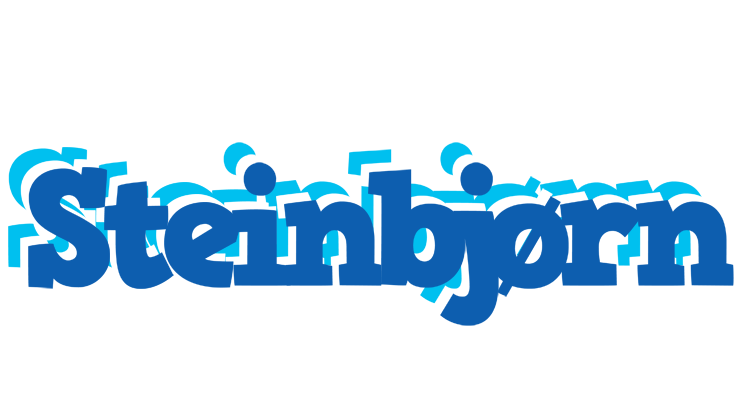 Steinbjørn business logo