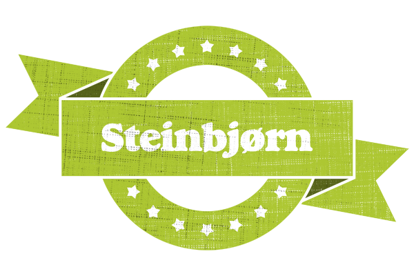 Steinbjørn change logo