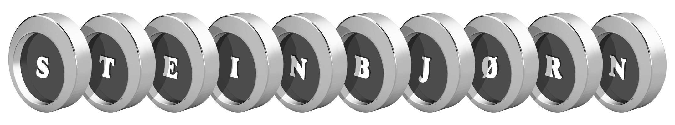 Steinbjørn coins logo