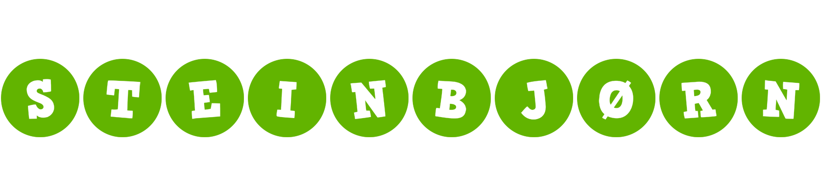 Steinbjørn games logo