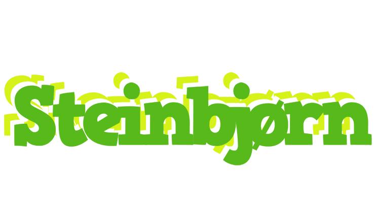 Steinbjørn picnic logo