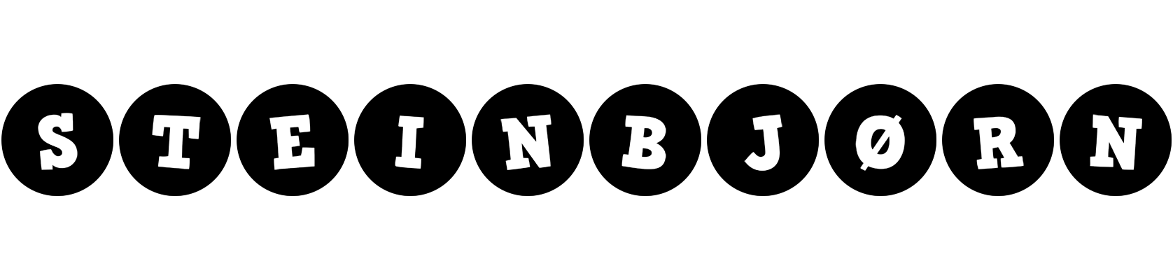 Steinbjørn tools logo