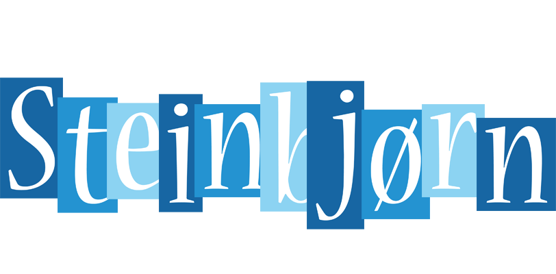 Steinbjørn winter logo