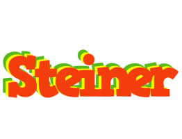 Steiner bbq logo