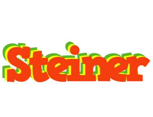 Steiner bbq logo
