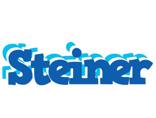 Steiner business logo