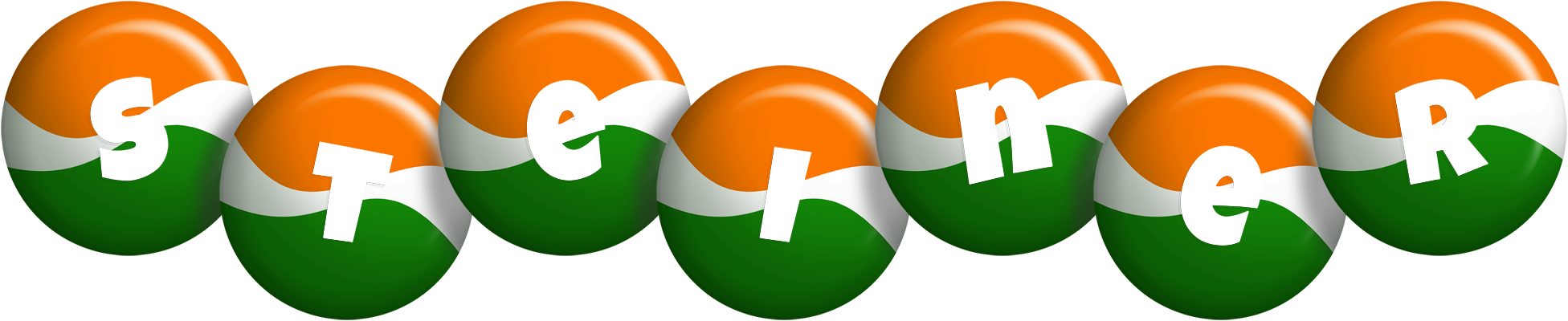 Steiner india logo