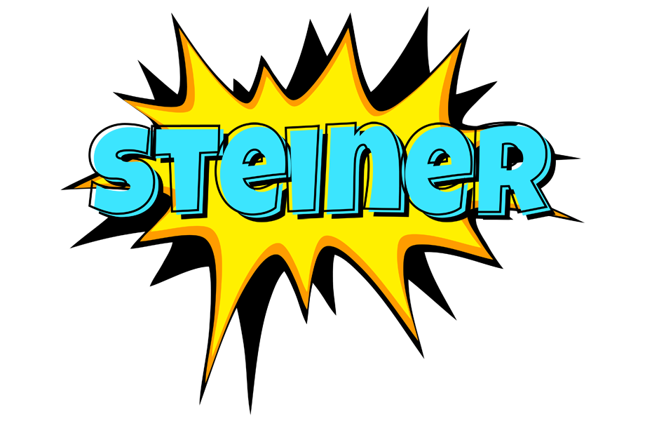 Steiner indycar logo