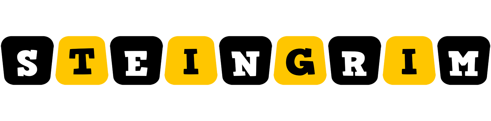 Steingrim boots logo