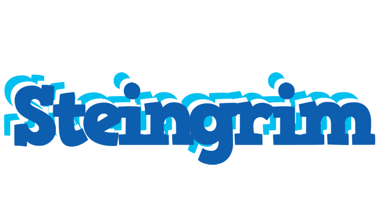 Steingrim business logo