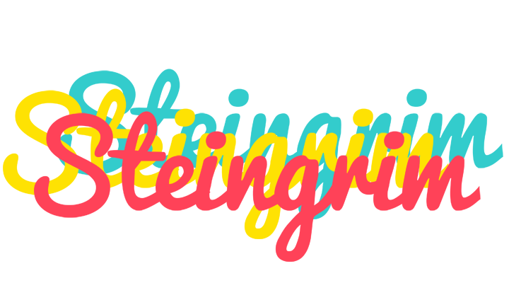 Steingrim disco logo