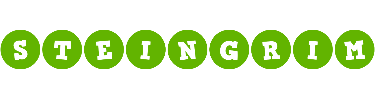 Steingrim games logo