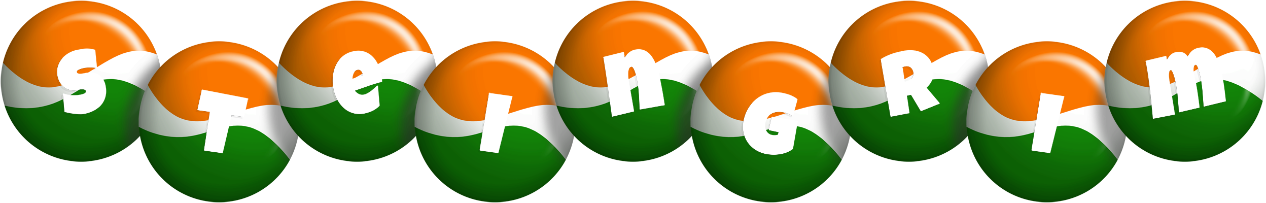 Steingrim india logo