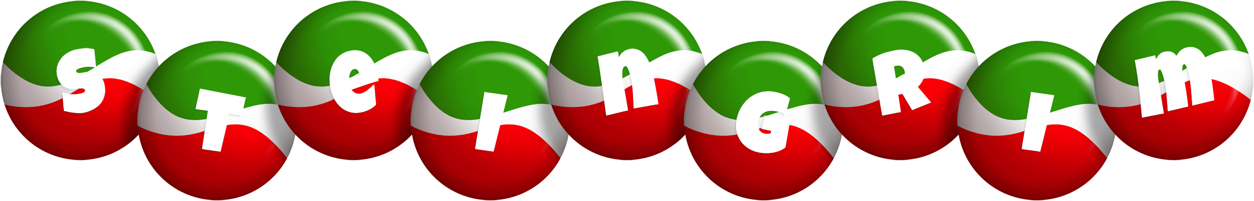 Steingrim italy logo
