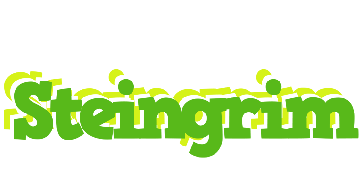 Steingrim picnic logo