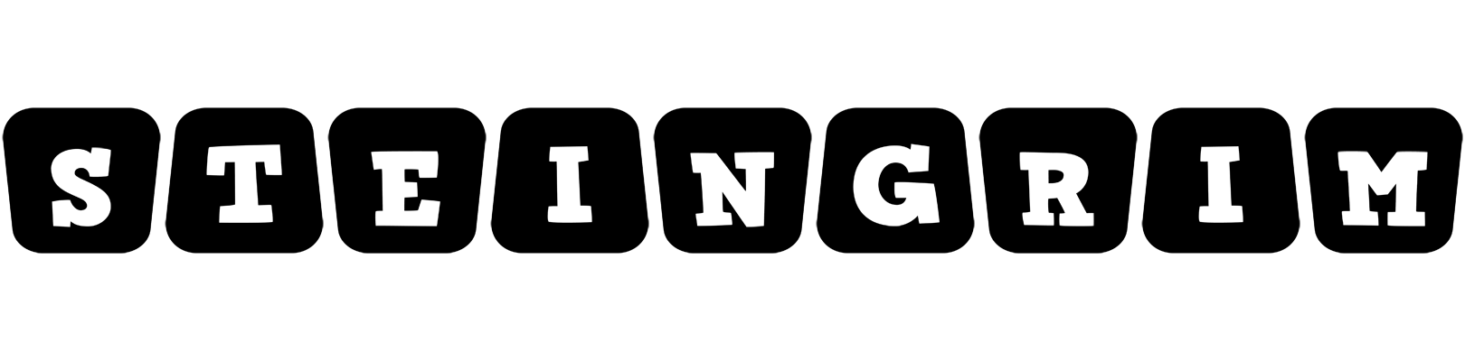 Steingrim racing logo