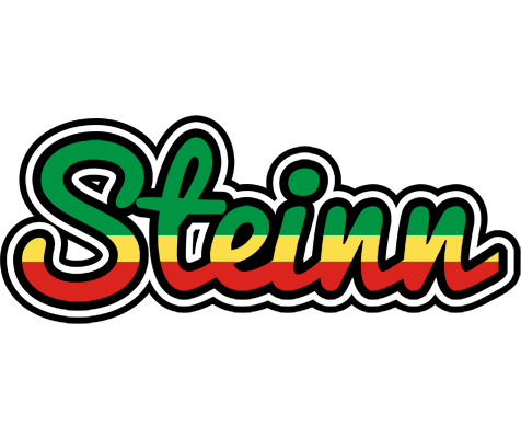 Steinn african logo
