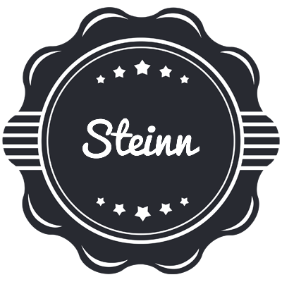 Steinn badge logo