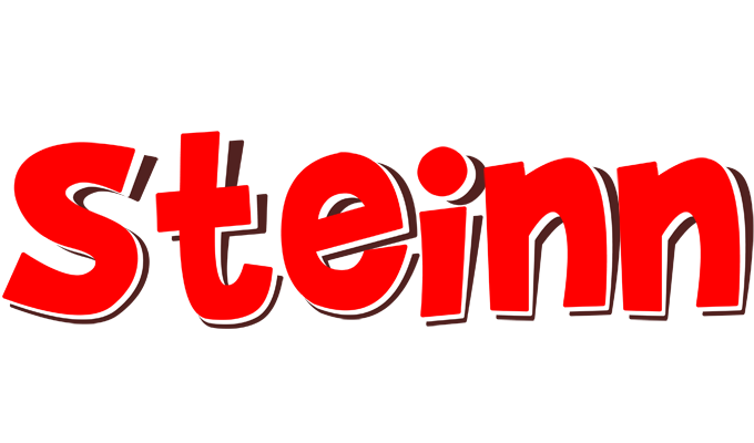 Steinn basket logo
