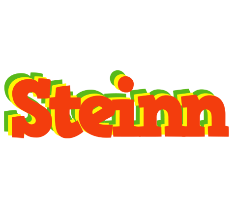 Steinn bbq logo
