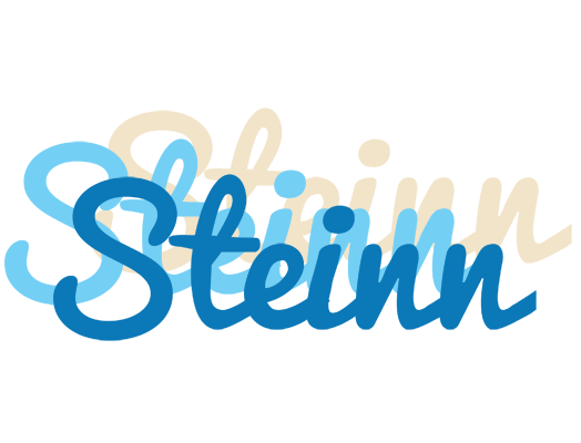Steinn breeze logo