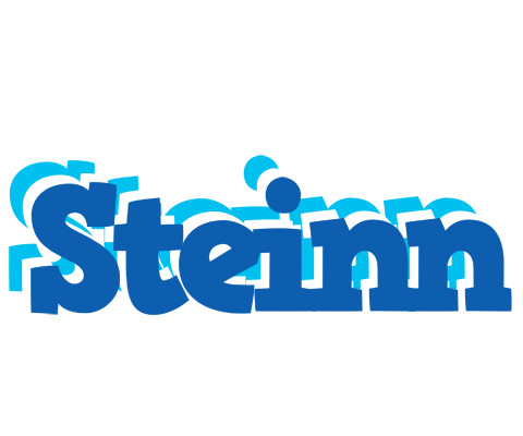 Steinn business logo