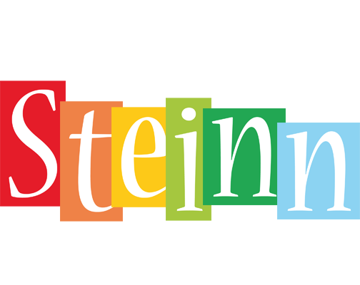Steinn colors logo