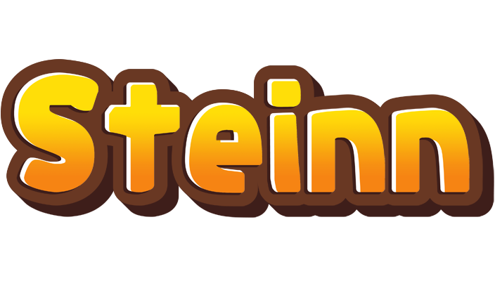 Steinn cookies logo