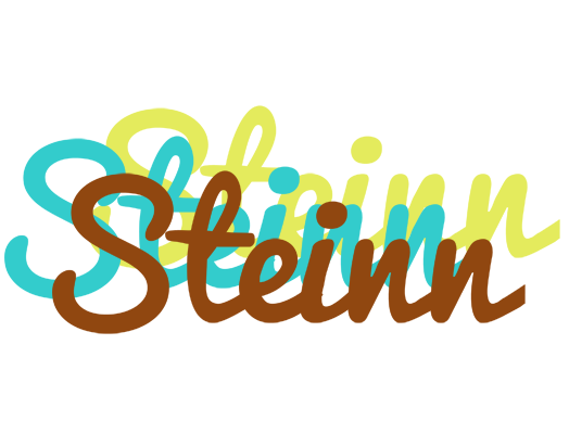 Steinn cupcake logo