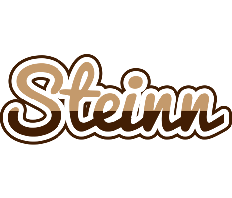 Steinn exclusive logo