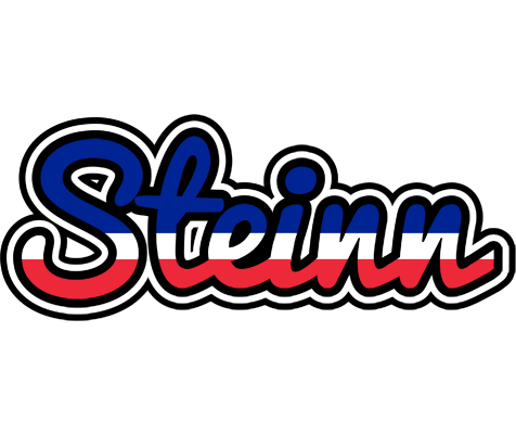 Steinn france logo