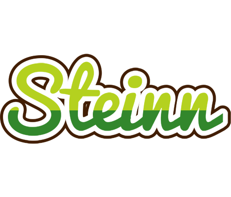 Steinn golfing logo