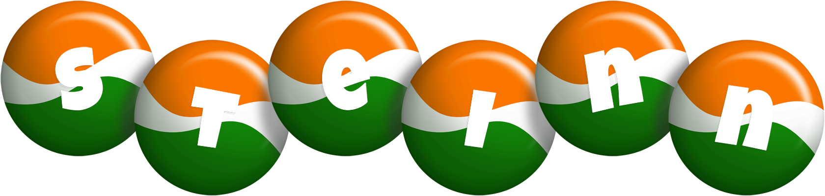 Steinn india logo