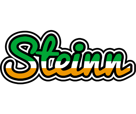 Steinn ireland logo