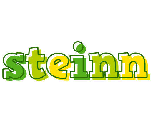 Steinn juice logo