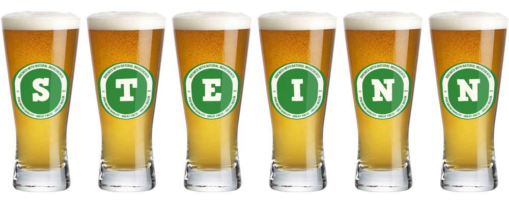 Steinn lager logo