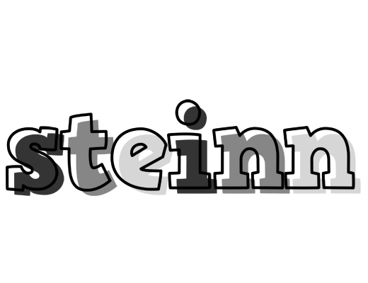 Steinn night logo
