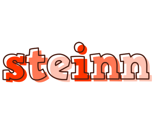 Steinn paint logo