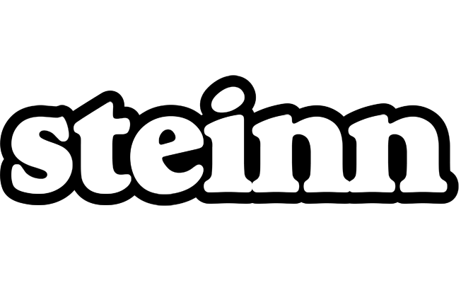 Steinn panda logo