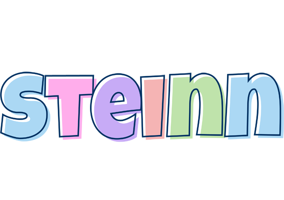 Steinn pastel logo