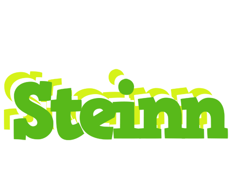 Steinn picnic logo