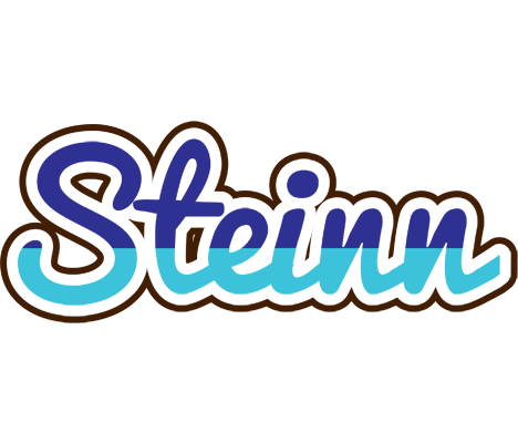 Steinn raining logo